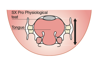 Physiological teat