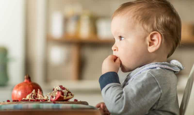 Leer e interpretar las etiquetas de los alimentos