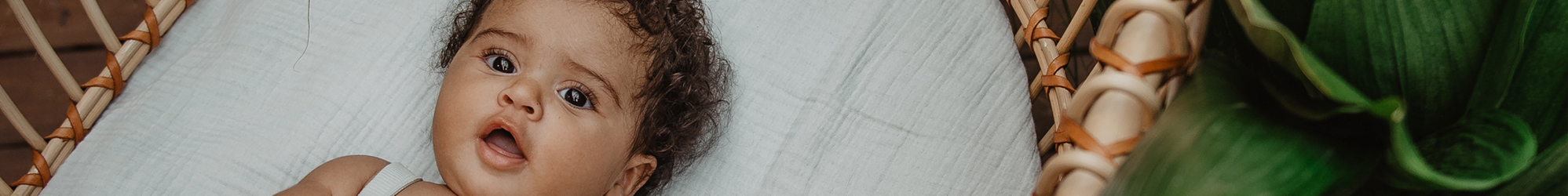 Suavinex Spugne Idrofile Per Neonati | Confezione Da 3 | Morbide E Assorbenti | Per Bagno E Toeletta | Misura Grande - Foto 10